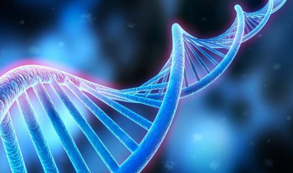 DNA stored genetic material only? Can now become more efficient engines!